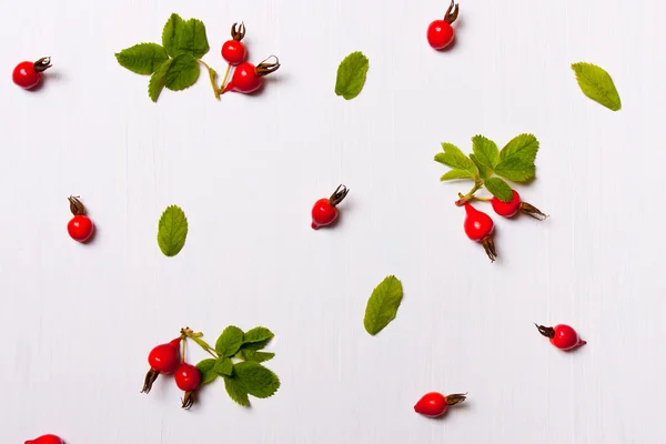 The pattern, composition of rose hips, berries, leaves. Flat lay