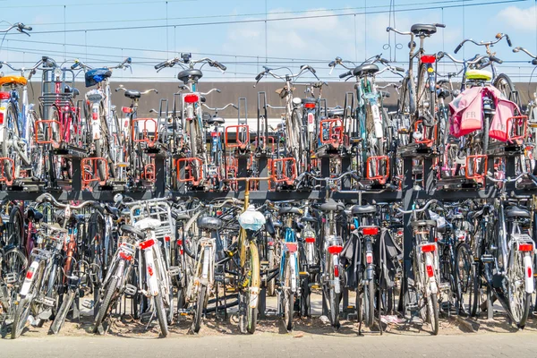 Rows of parked bicycles, Netherlands