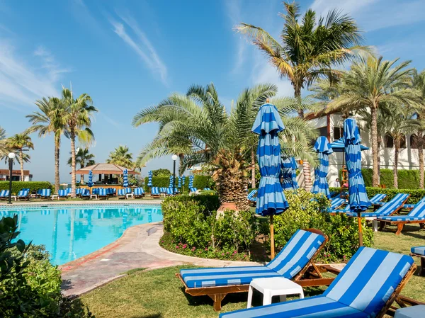 Tropical garden of luxury hotel in Dubai