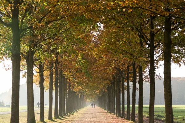 People walking in autumn lane