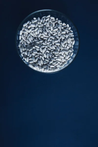 Top view heap white beans in bowl isolated