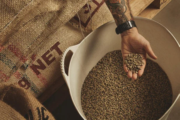 Tattooed barista hand holds coffee