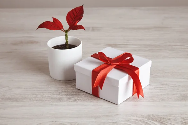 Romantic white gift box with red tape and flower