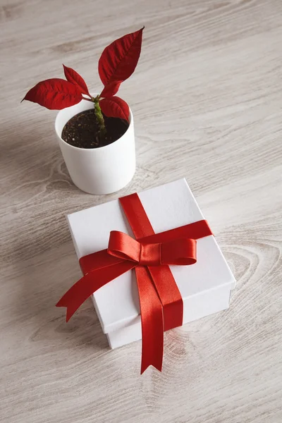 Romantic white gift box with red tape and flower top view