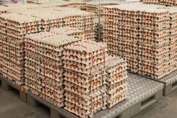 Eggs from chicken farm in the package