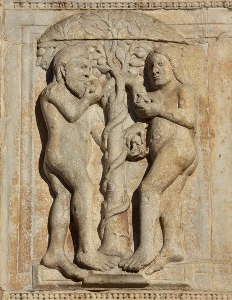 Adam and Eve eat the fruit of the forbidden tree