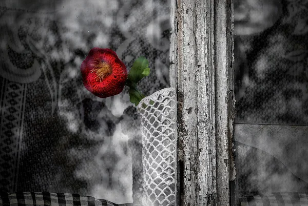 Flower in the window of an old house