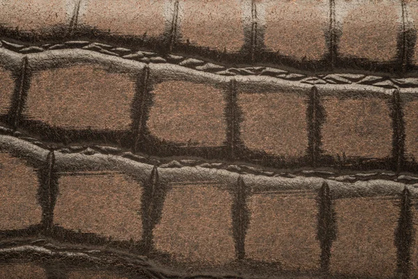 Crocodile Leather Swatch