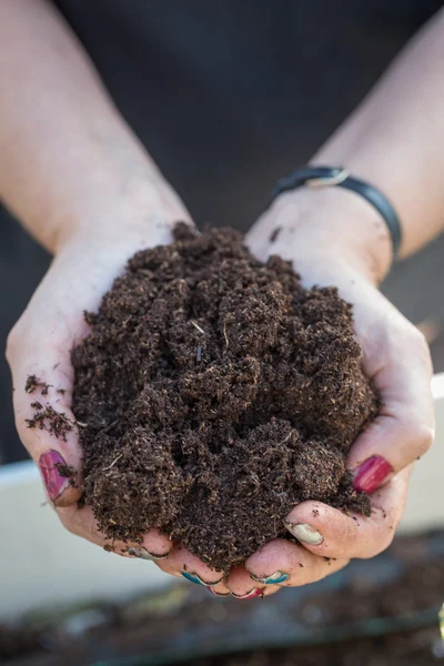 Woman Holding Garden Soil in Cupped Hands