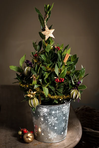 Bush with christmas tree decorations