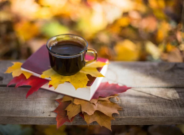 Hot coffee and red book with autumn leaves on wood background