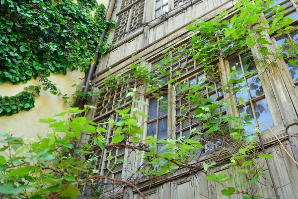 Colorful balcony with carved wooden accents. Ivy and wild grape.