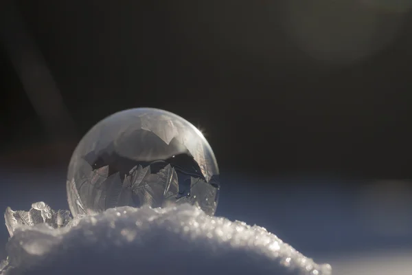 Frozen bubble on the snow