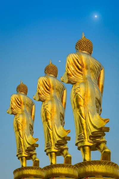 Walk behind of the Buddha.