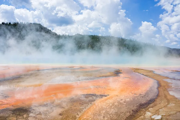 Geothermal pool and colourful bacteria in Yellowstone National Park at the Grand Prismatic hot spring, Wyoming, United States