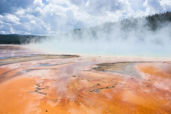 Geothermal pool and colourful bacteria in Yellowstone National Park at the Grand Prismatic hot spring, Wyoming, United States