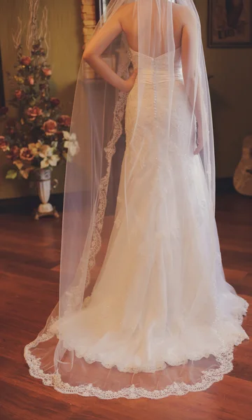 Beautiful wedding and a long ivory dress, veil,