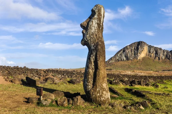 Standing moai near Ahu Tongariki, Easter Island, Chile