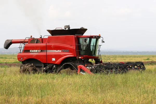 Combine Harvester in the field