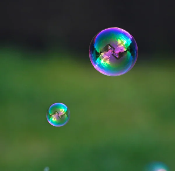 The rainbow bubbles from the bubble blower