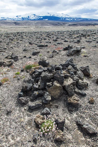 Stone and ash wasteland - volcanic landscape