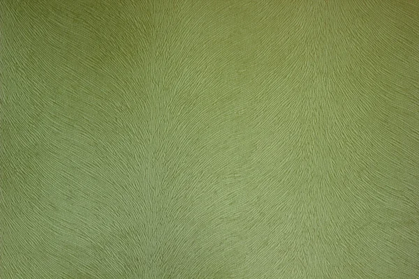 Fabric texture green bieber.