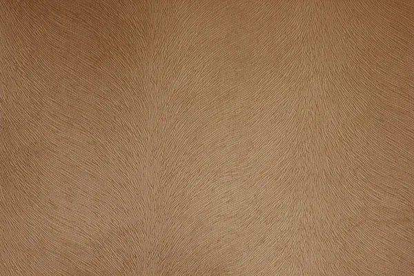 Fabric texture brown bieber