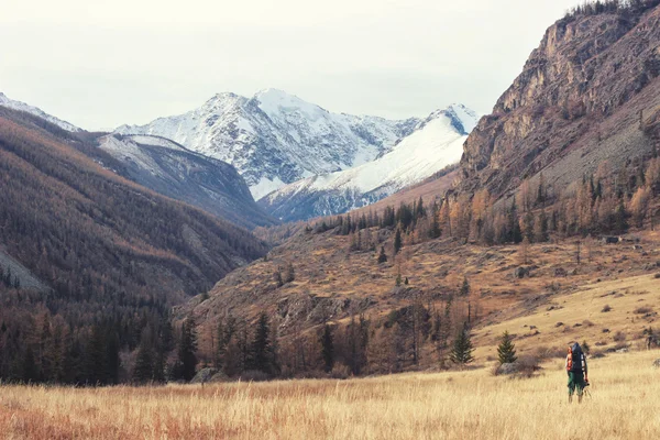 Backpacker go into the mountains. Happy travel concept. Mountain trekking. Man in harmony with nature. Autumn mountain landscape.