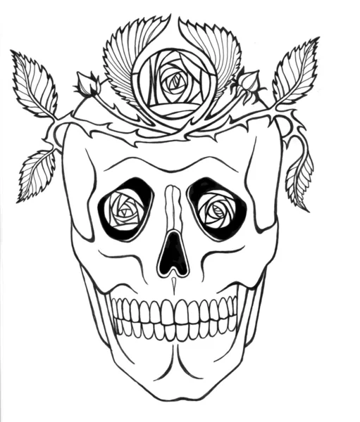 Vintage pirate skull with flowers wreath vector illustration.