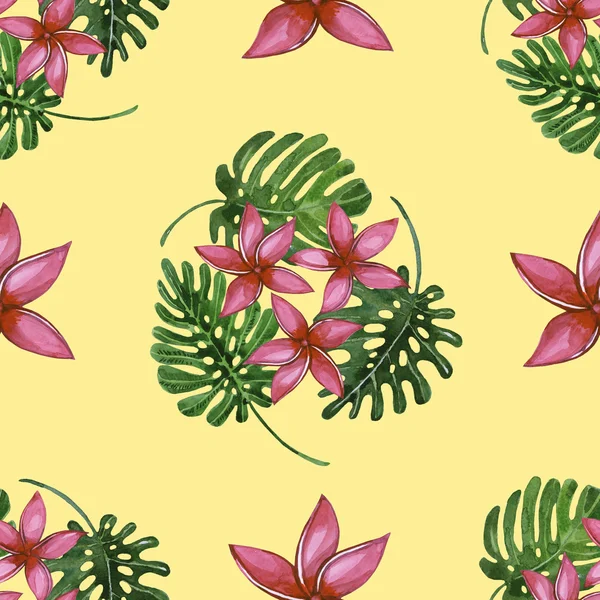 Seamless tropical background. Summer pattern. Frangipani flowers