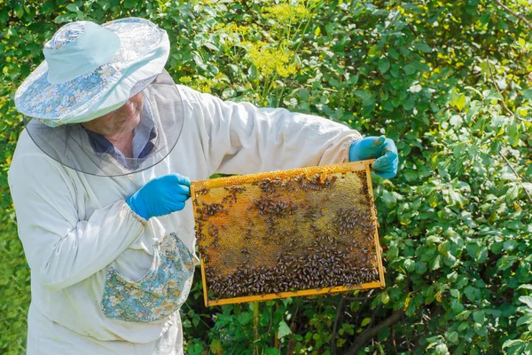 Beekeeper with a honeycomb full of bees