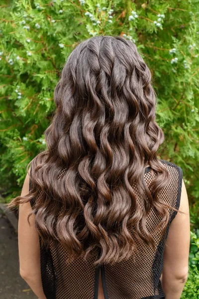 Long glossy curly hair back view