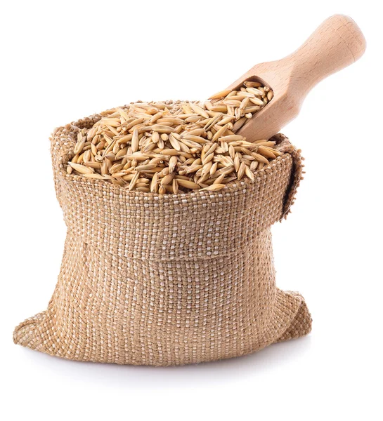 Grain oats in bag with a wooden scoop isolate