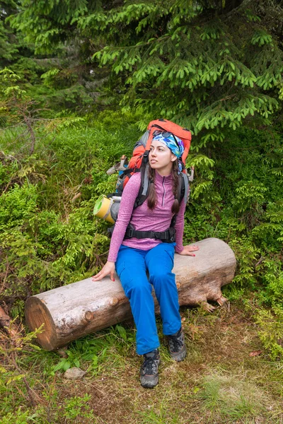 Woman hiker rest in forest