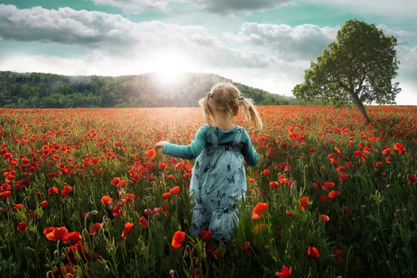 Girl going into the field of poppies