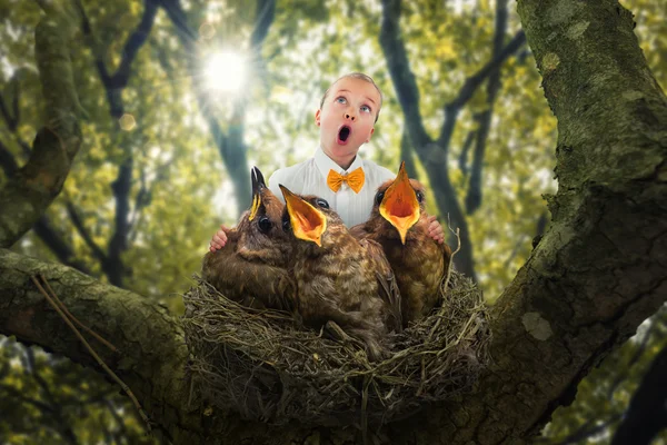 Little girl and nestlings in nest