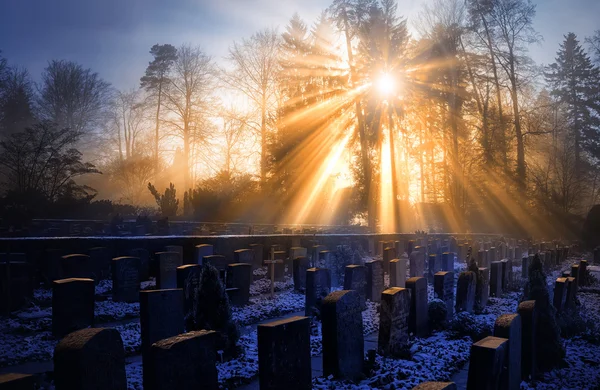 Misty morning on the cemetery