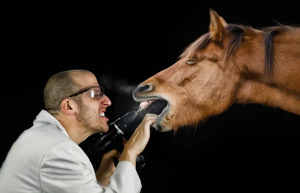 Man treats the horse teeth