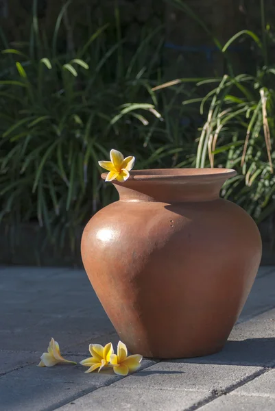 Traditional Indonesia clay pot with yellow frangipani flower