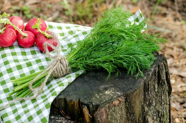 A bunch of dill and radishes on a stump