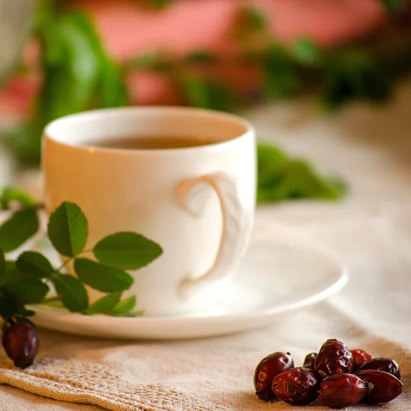 Treatment herbal tea. Rosehip tea.