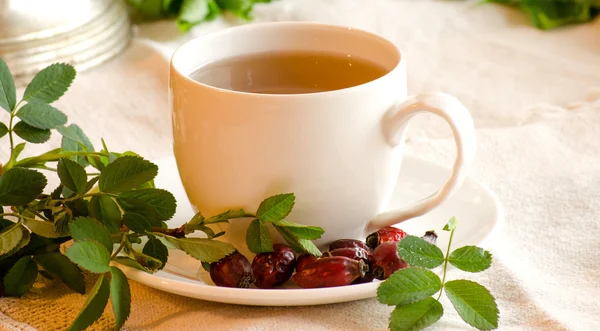 Treatment herbal tea. Rosehip tea.