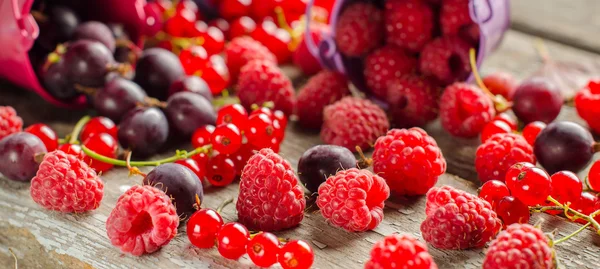 Seasonal ripe berries. Harvest. Red currants, raspberries and go