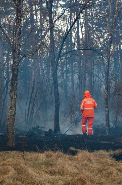 Civil protection of Friuli Venezia Giulia in action for extinguish a fire in the forest