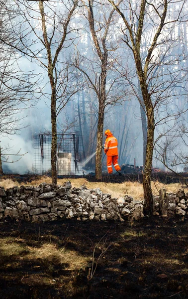 Civil protection of Friuli Venezia Giulia in action for extinguish a big fire in the forest.