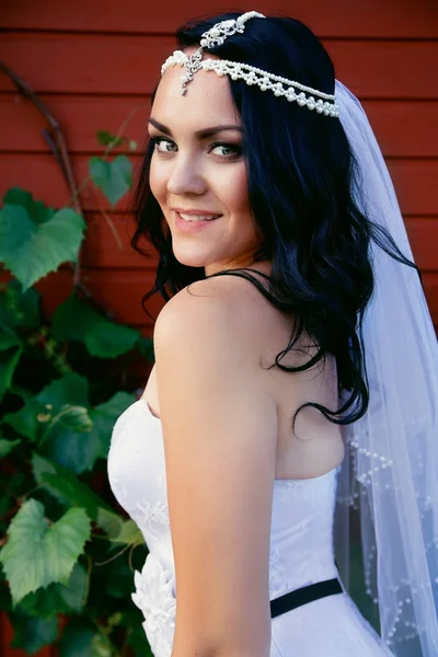 Bride in a beautiful dress and long veil