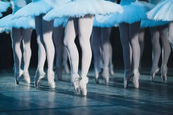Ballet swan lake. ballet statement. ballerinas in the movement.