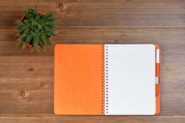 Orange notebook, pen, pot with cactus on the wooden table