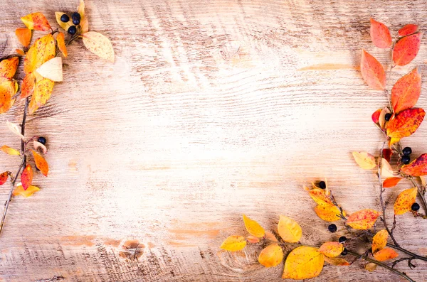 Colorful autumn leaves lying on wooden background. Fall and thanksgiving. Autumn composition. Free space for text.