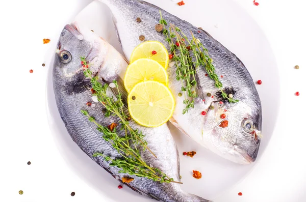 Fresh raw gilthead fishes with lemon, herbs, salt on plate, white background. Healthy food concept. Food frame
